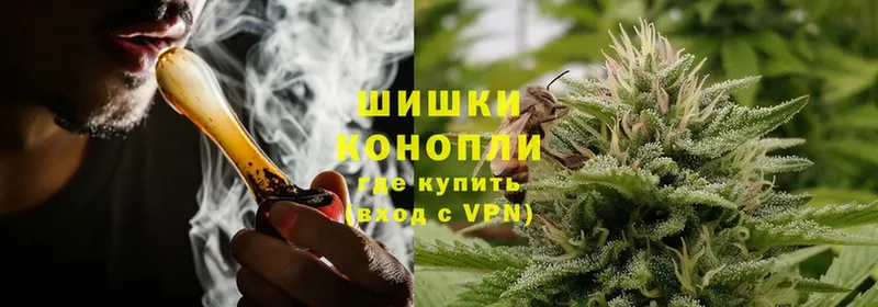 Бошки марихуана SATIVA & INDICA  купить  сайты  Новосибирск 